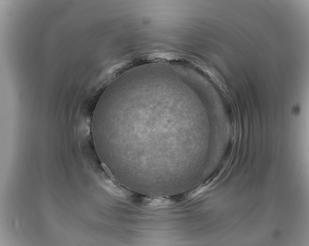 X0000092000621200709061440