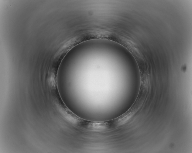 X0000092000622200709061440