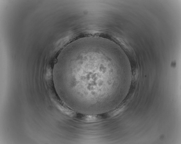 X0000092000623200709061440