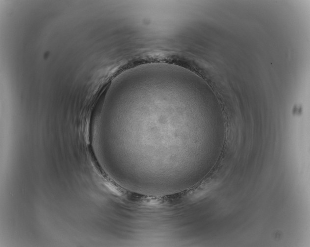 X0000092000624200709061440