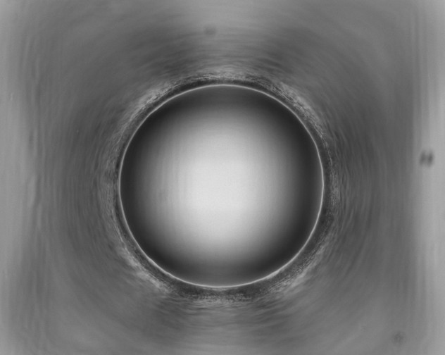 X0000092000625200709061439