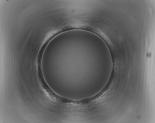 X0000092000626200709061439