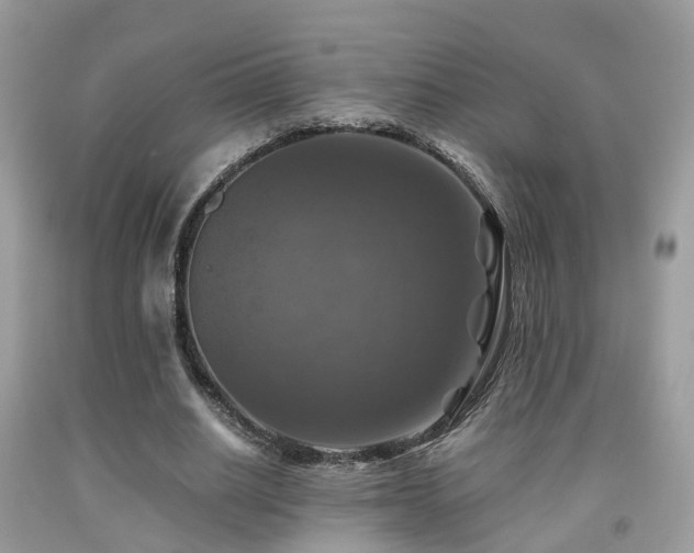 X0000092000630200709061440