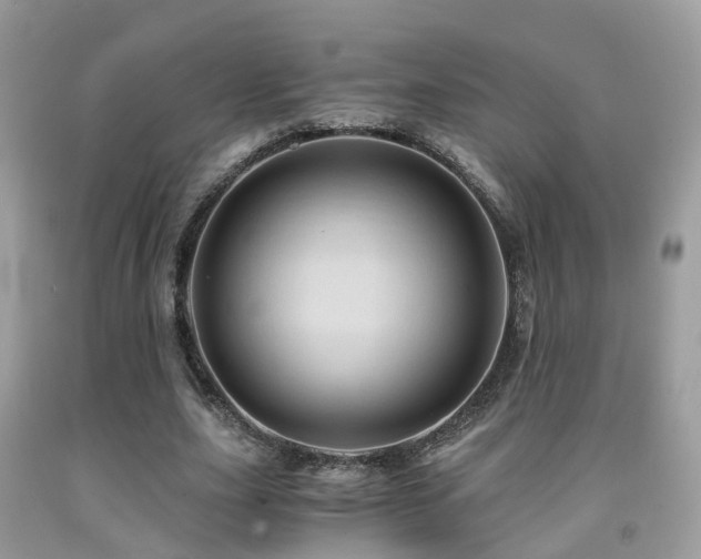 X0000092000631200709061440