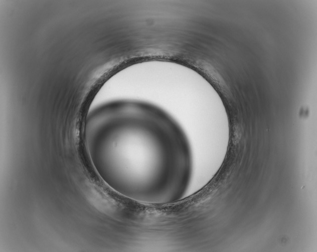 X0000092000632200709061440