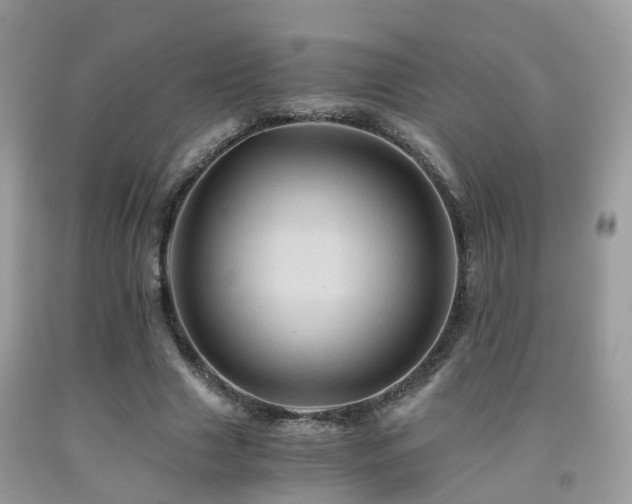 X0000092000633200709061440