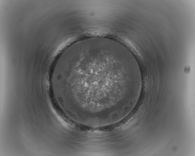X0000092000634200709061440