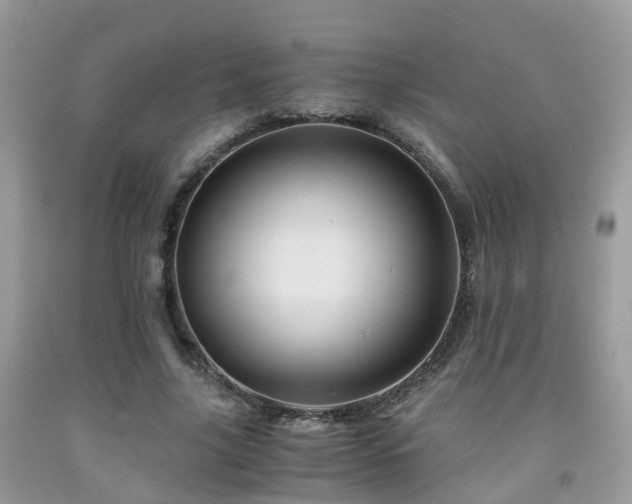 X0000092000635200709061440