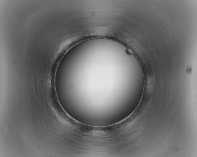 X0000092000636200709061440