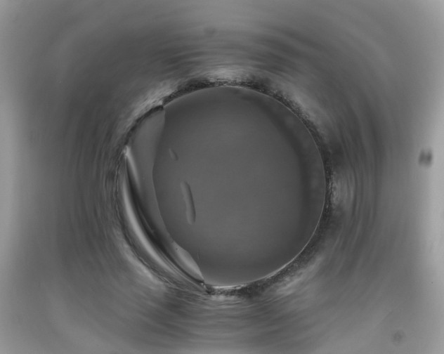 X0000092000637200709061440