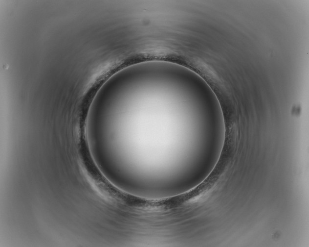 X0000092000638200709061440