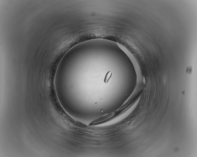 X0000092000639200709061440