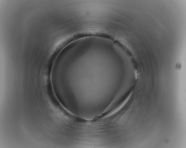 X0000092000640200709061440