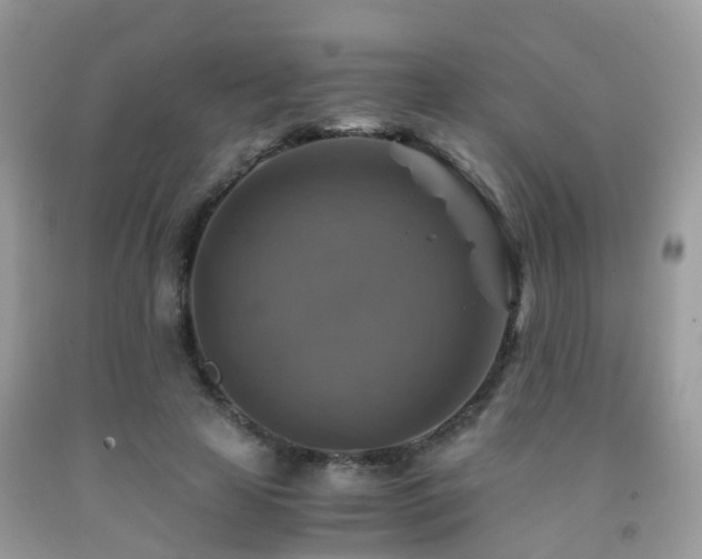 X0000092000641200709061440