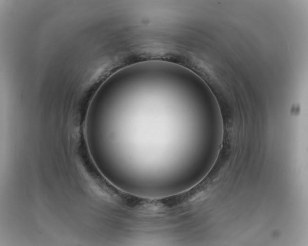 X0000092000642200709061440