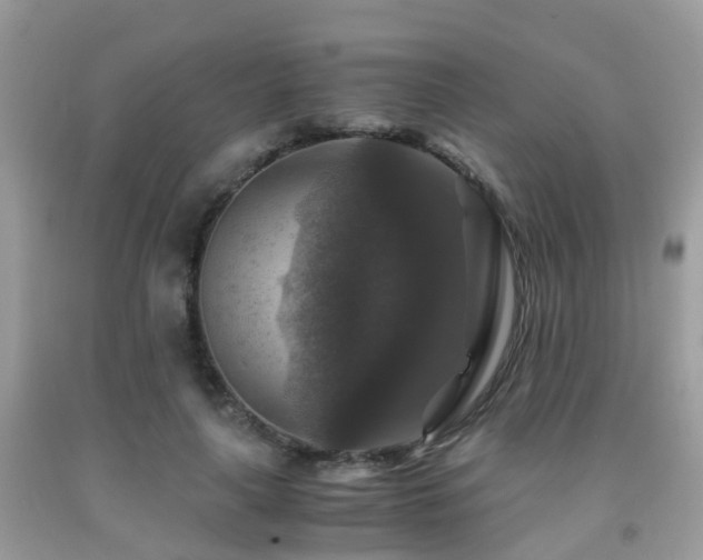 X0000092000643200709061440