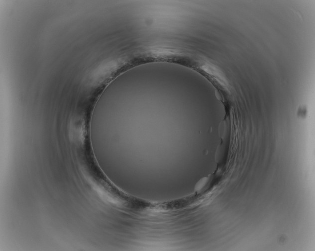 X0000092000644200709061440