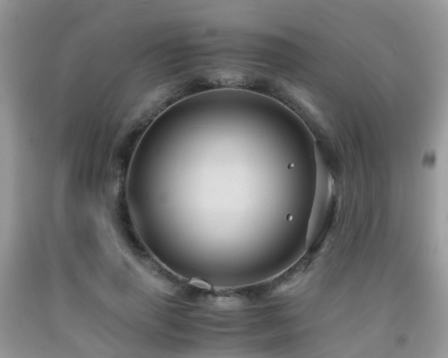 X0000092000645200709061440