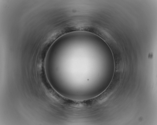 X0000092000646200709061440