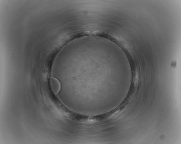 X0000092000647200709061440