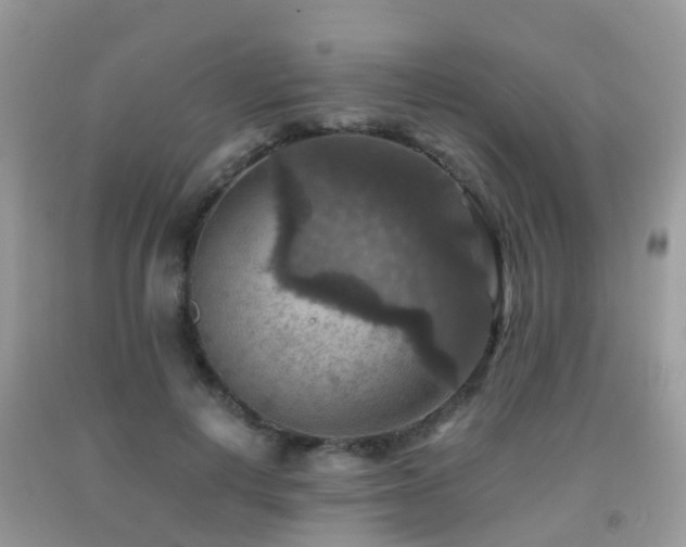 X0000092000648200709061440