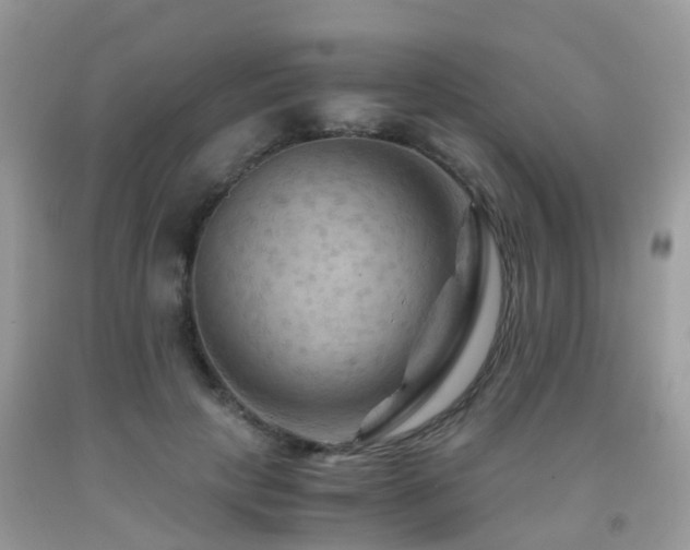 X0000092000649200709061440