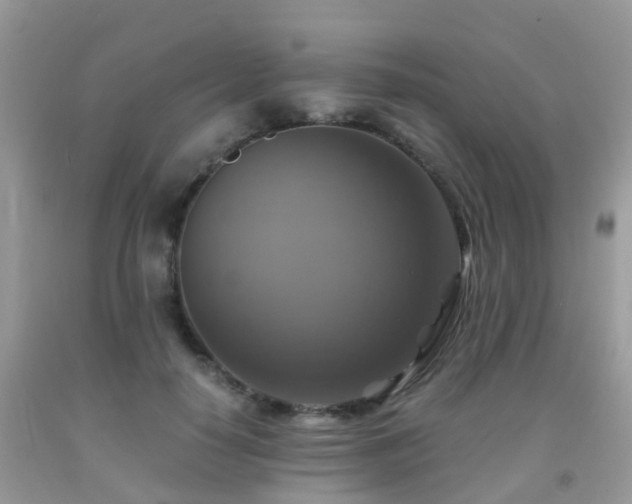 X0000092000650200709061440