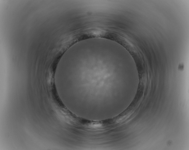 X0000092000651200709061440