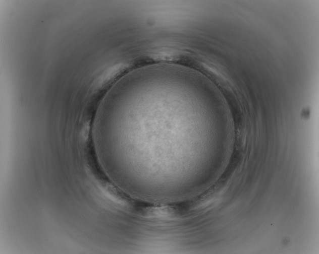 X0000092000652200709061440