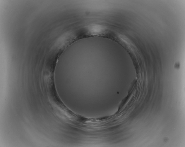 X0000092000653200709061440