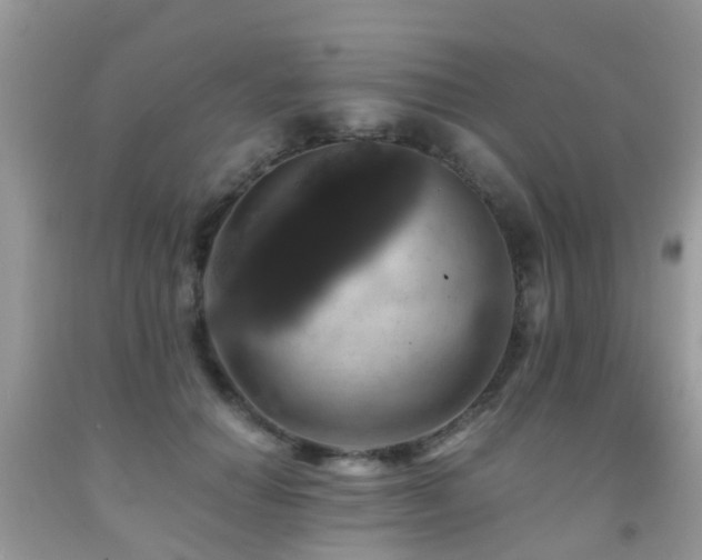 X0000092000654200709061440