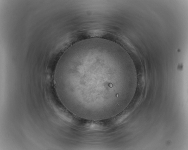 X0000092000655200709061440