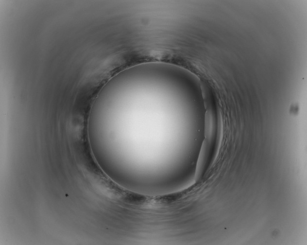 X0000092000656200709061440