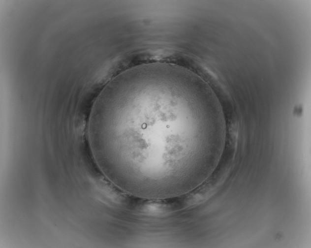 X0000092000657200709061440