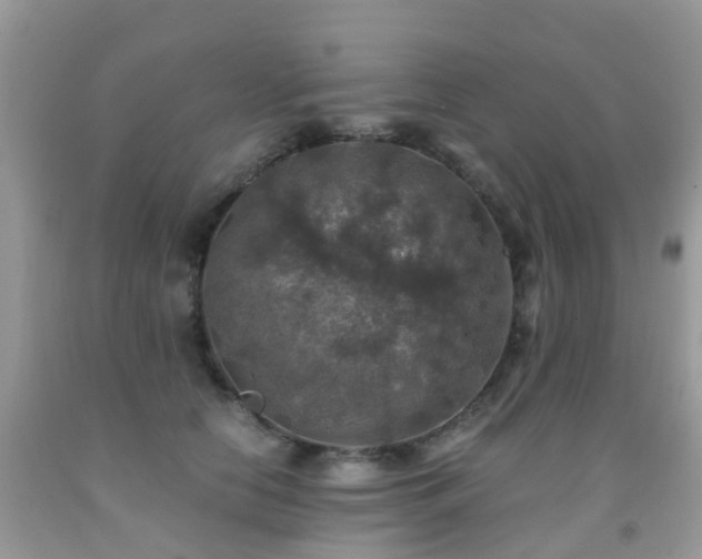 X0000092000658200709061440