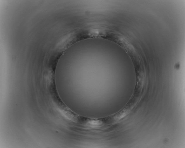 X0000092000659200709061440