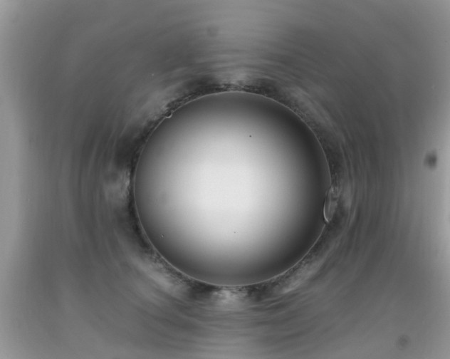 X0000092000660200709061440