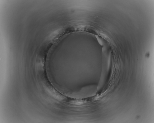 X0000092000661200709061440