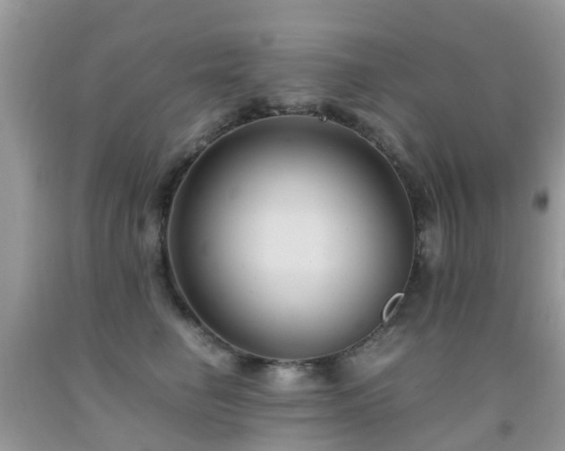 X0000092000662200709061440