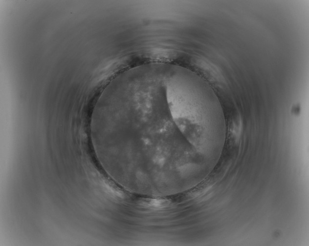 X0000092000663200709061440