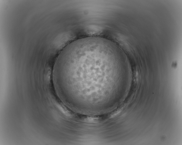 X0000092000664200709061440