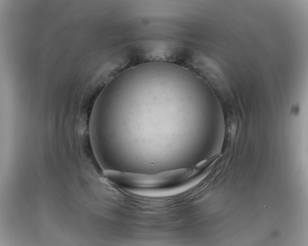 X0000092000665200709061440