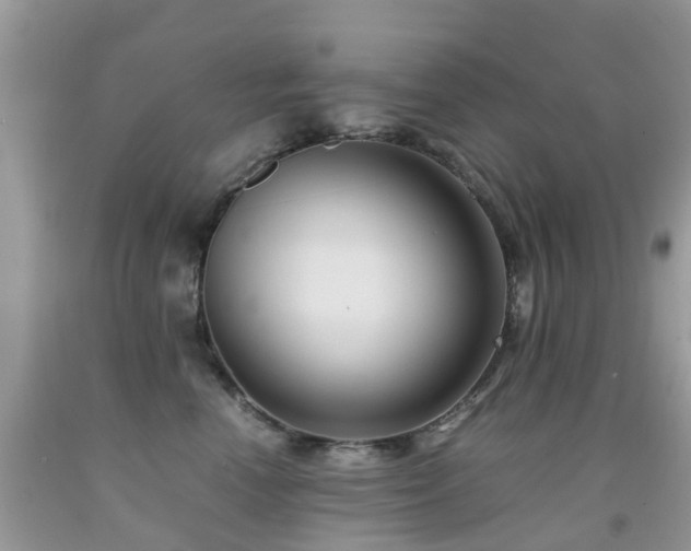 X0000092000666200709061440