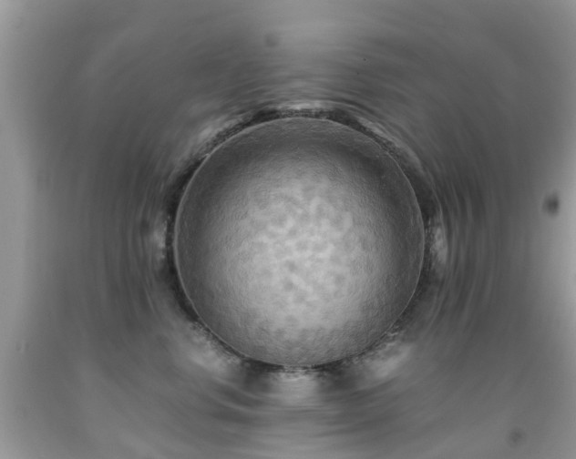 X0000092000668200709061440