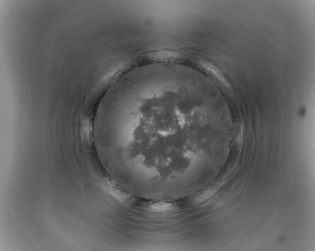 X0000092000669200709061440