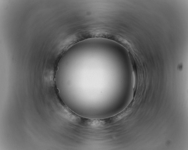 X0000092000670200709061440