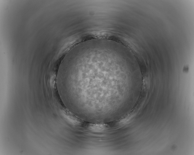 X0000092000671200709061440