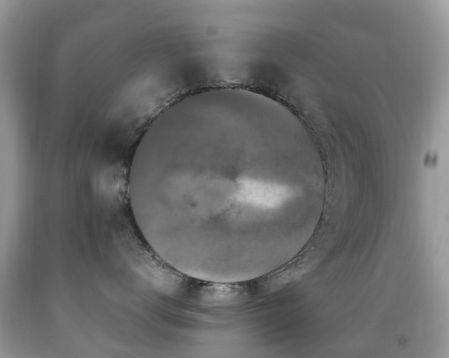 X0000092000672200709061440