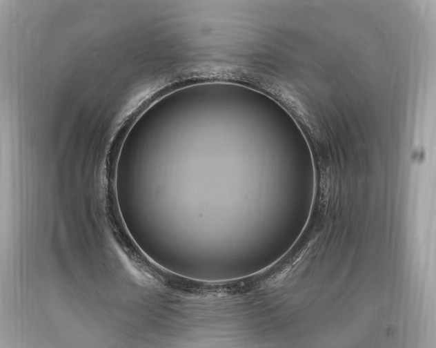 X0000092000674200709061439