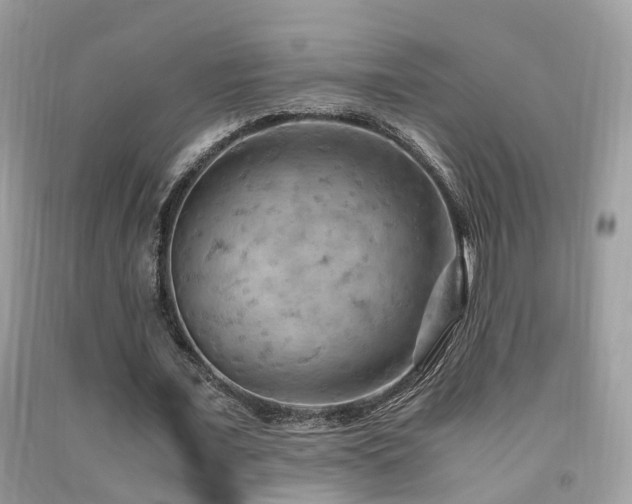 X0000092000675200709061439